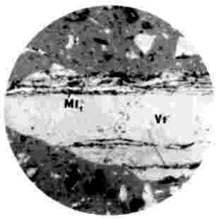 ГОСТ 18384-73 Угли каменные. Петрографический метод определения степени обогатимости (с Изменением N 1)