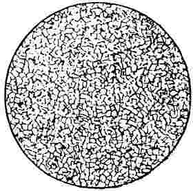 ГОСТ 21073.1-75 Металлы цветные. Определение величины зерна методом сравнения со шкалой микроструктур (с Изменением N 1)